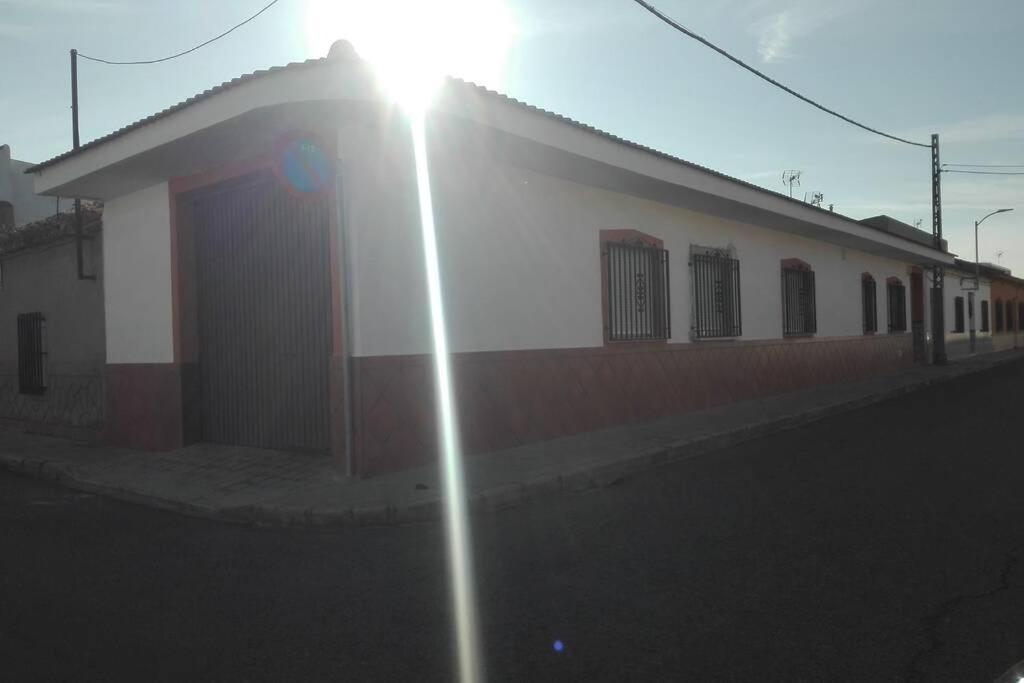 El Molino * Argamasilla De Alba