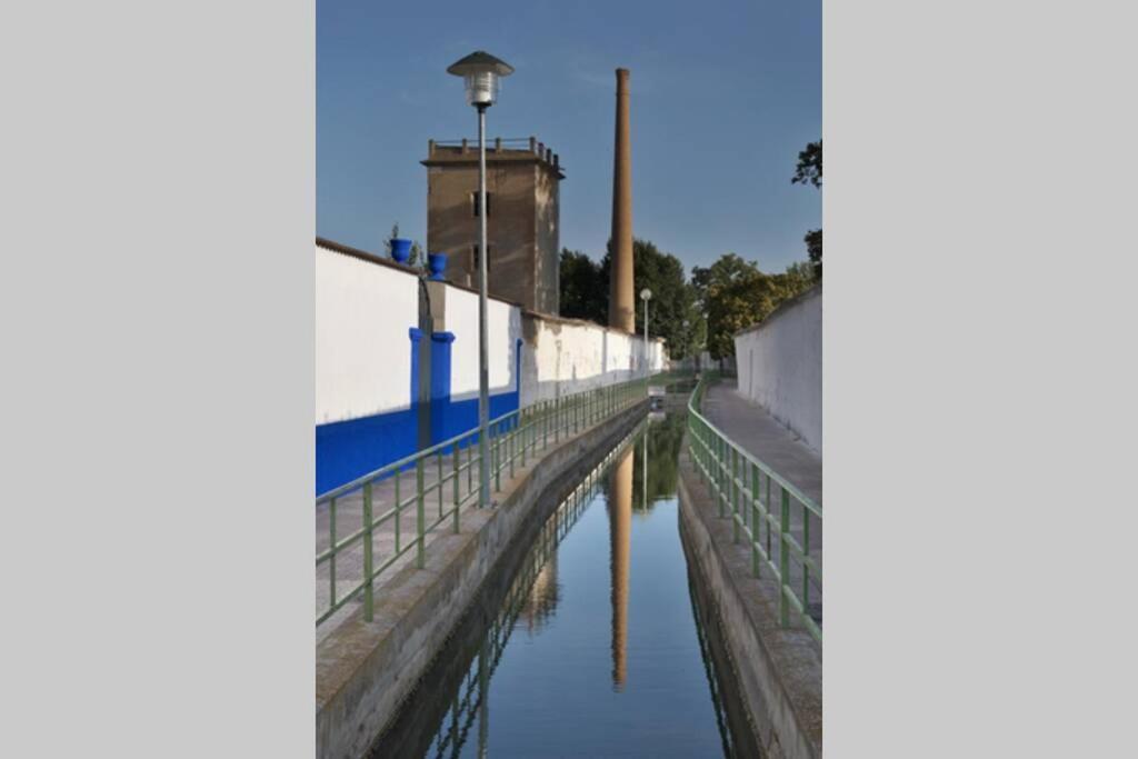 El Molino * Argamasilla De Alba